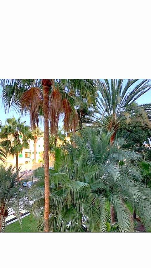 Maspalomas Del Mar San Bartolomé Ngoại thất bức ảnh